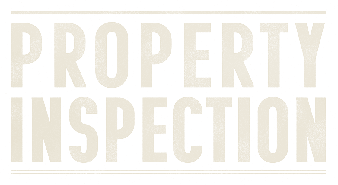 PROPERTY INSPECTION